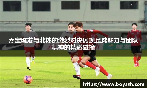 AC米兰体育官网入口